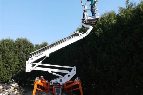 satisfaction pro-vert arbre Repentigny